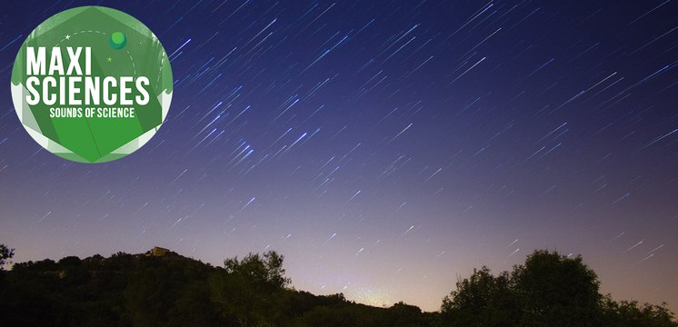 Etoiles filantes, baleine et tombe égyptienne, les 8 actus sciences que vous devez connaitre ce 23 juillet