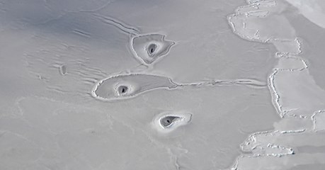 De mystérieux cercles observés en Arctique intriguent les chercheurs