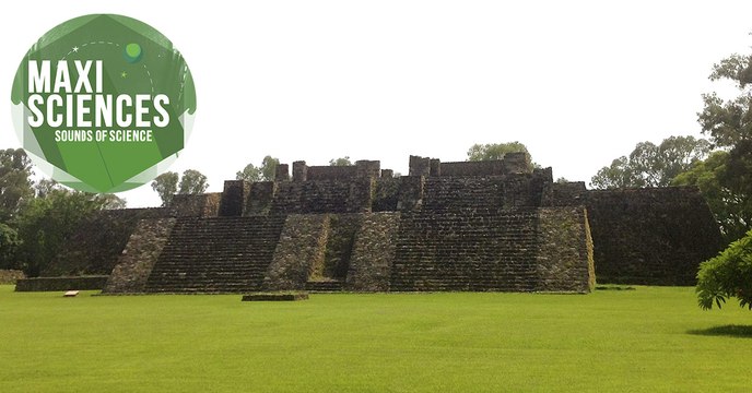 Temple Mexicas, baleine bleue, sol martien, les 8 actus sciences que vous devez connaitre ce 15 juillet
