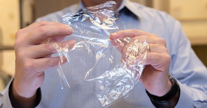 Un matériau innovant fait de plantes et de coquilles de fruits de mer pourrait remplacer le plastique