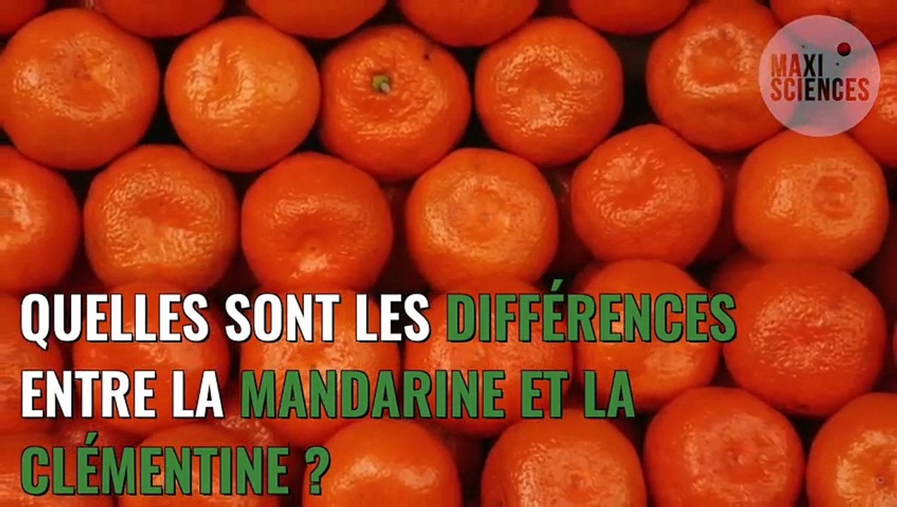 Quelle est la différence entre une clémentine e...