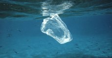 Pollution : la quantité de déchets plastiques dans les océans pourrait tripler d'ici 2025