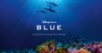 Blue, le nouveau film de Disneynature qui rend un magnifique hommage à l'océan