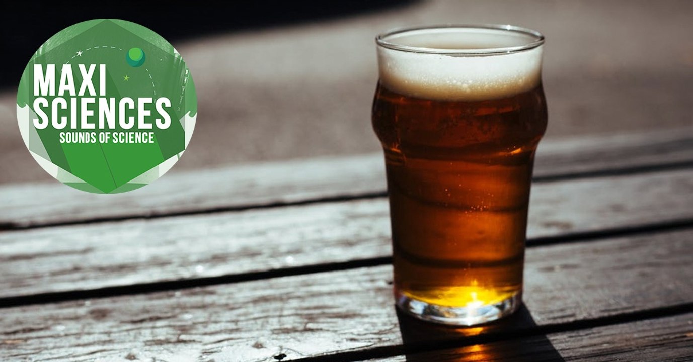 Alcool, incendies et abeilles, les 8 actus sciences que vous devez connaître ce 25 août