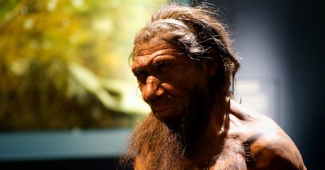 Des scientifiques ont mis au point des "mini-cerveaux" artificiels conçus à partir d'ADN néandertalien