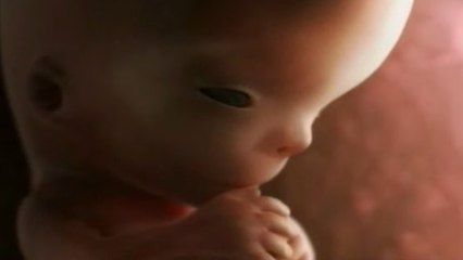 L'étonnante évolution d'un bébé dans le ventre de sa mère (vidéo)