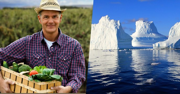 En luttant contre le changement climatique, nous pourrions créer 18 millions d'emplois d'après l'OIT