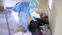Virus Ebola : la fuite de trois patients infectés attise les inquiétudes au Congo