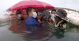 En Thaïlande, un globicéphale meurt après avoir ingéré 80 sacs en plastique