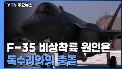 독수리와 충돌한 최첨단 F-35A...30톤 충격으로 추락할 뻔 / YTN