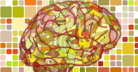 Notre système digestif jouerait un rôle inattendu dans le sens de l'orientation