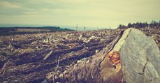 Il y deux mille ans, certaines pratiques agricoles avaient déjà de lourdes conséquences sur l'environnement