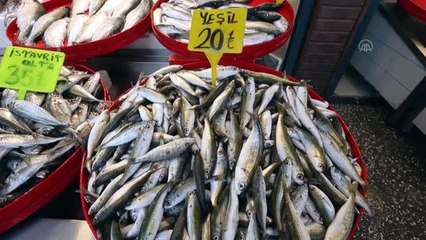 Karadeniz'in soğuyan suyu balıkçı tezgahlarını şenlendirdi