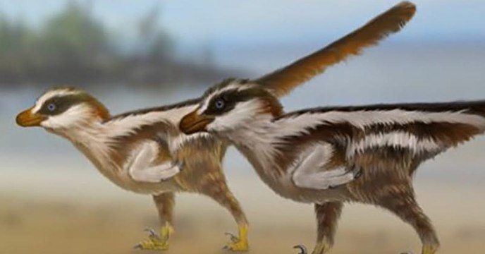 Les plus petites empreintes du monde appartiendraient à un raptor pas plus grand qu'un moineau