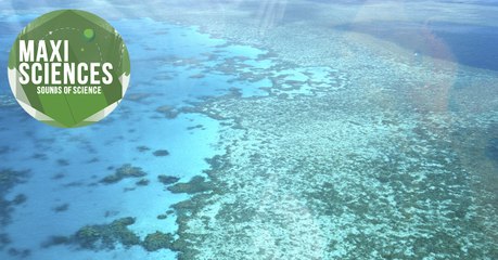 Neandertal, poterie antique et fossile de serpent, les 8 actus sciences que vous devez connaitre ce 21 juillet