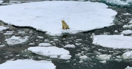 Les mesures choc pour limiter le réchauffement climatique à 1,5°C
