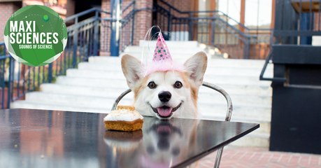 Cocaïne, Maria Callas et face cachée de la Lune, les 8 actus sciences que vous devez connaître ce 15 février
