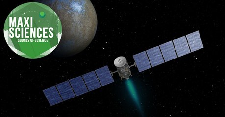 Fusée Soyouz, pollution lumineuse et Venise, les 8 actus sciences que vous devez connaître ce 3 novembre