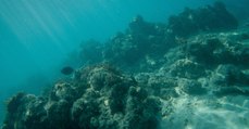 Des microplastiques détectés dans la fosse des Mariannes, la plus profonde au monde