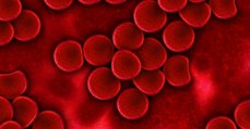 Ambrosia Medical, cette start-up controversée qui propose de transfuser du sang jeune pour vivre plus longtemps