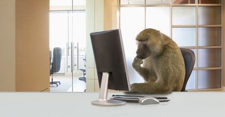 Animal ou intelligence artificielle, qui est le plus futé ? Une compétition va le déterminer