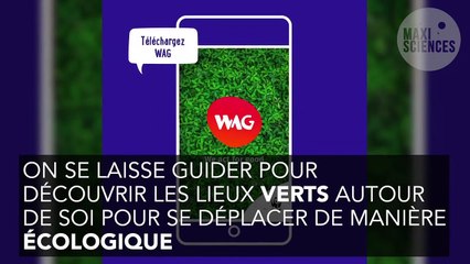 Écologie : 4 applications gratuites pour se mettre au vert