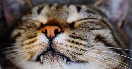 3 idées reçues sur le sommeil qui impactent notre santé