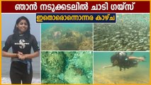 കടലിനുള്ളിൽ ഞാൻ കണ്ട അത്ഭുതകാഴ്ച്ച, ശെരിക്കും ഞെട്ടിച്ചു | Scuba Diving | Oneindia Malayalam