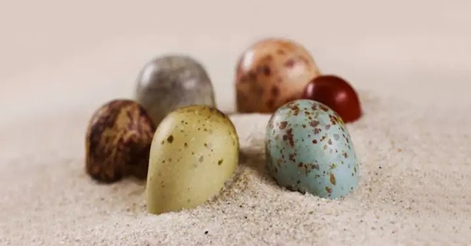 Des pigments fossiles révèlent les étonnantes couleurs des œufs de dinosaures