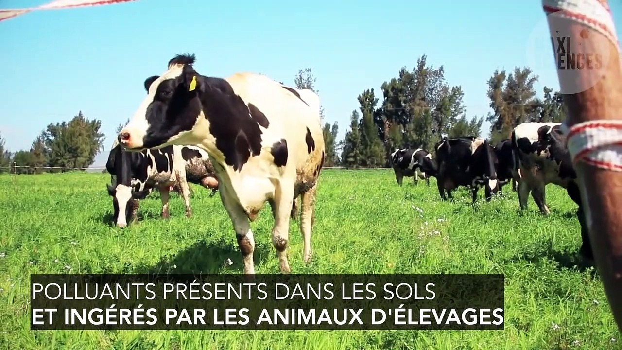 Produits bio : 60 millions de consommateurs dénonce les "promesses" marketing, on vous explique pourquoi
