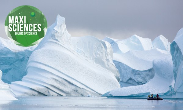Pôle Nord, réchauffement climatique et requin, les 8 actus sciences que vous devez connaître ce 20 janvier