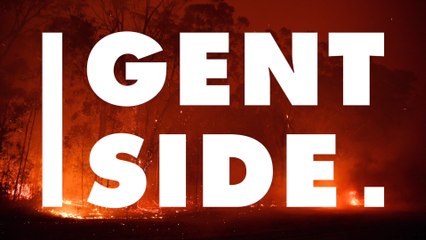 Incendies en Australie : 500 millions d'animaux auraient trouvé la mort dans les flammes