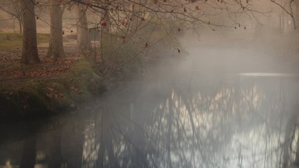 ¡Indignante! Madre lanzó a su hijo de 6 años al río Cauca