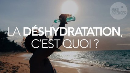 Quels sont les symptômes de la déshydratation ?