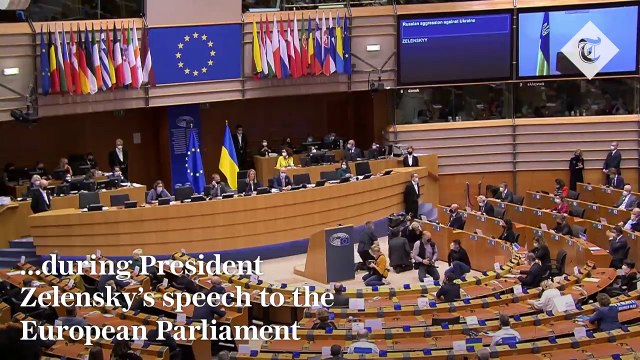 Ukrainian President Zelensky moves translator to tears in speech to European Parliament