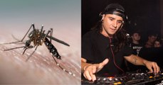 La musique de Skrillex pourrait nous protéger contre les piqûres de moustiques