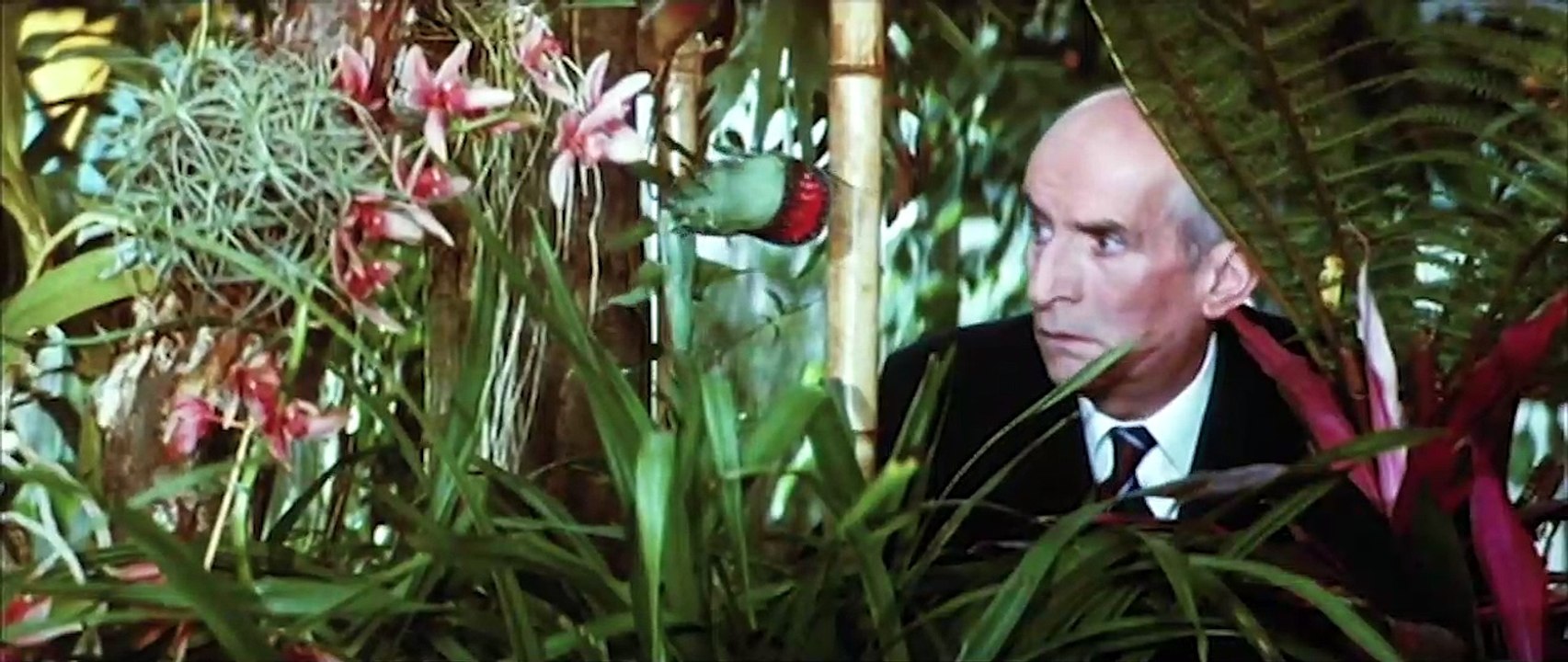 Der Querkopf Trailer Deutsch German (1977)