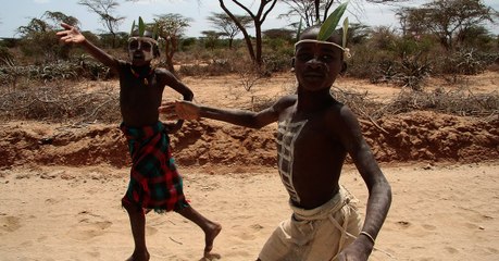 D'après une étude, les peintures corporelles inspirées du zèbre protègeraient des taons