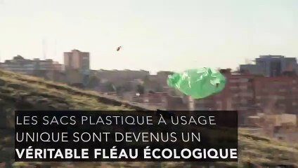 Sac plastique, coton ou papier : quelle est vraiment la meilleure solution ?