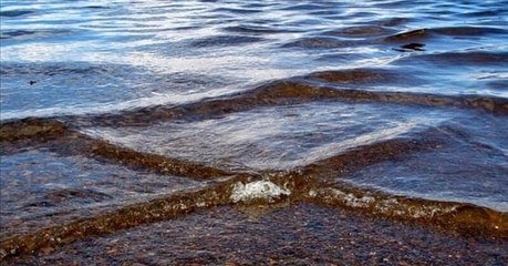 Pourquoi ces vagues carrées sont un véritable danger pour les nageurs