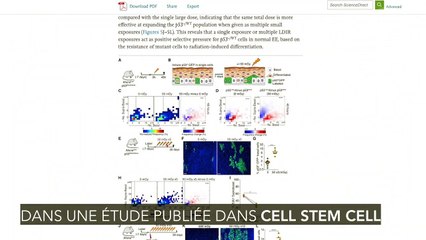 Seulement trois examens au scanner suffiraient à augmenter les risques de cancer
