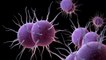 Gonorrhoea: More cases of antibiotic-resistant strain identified in England