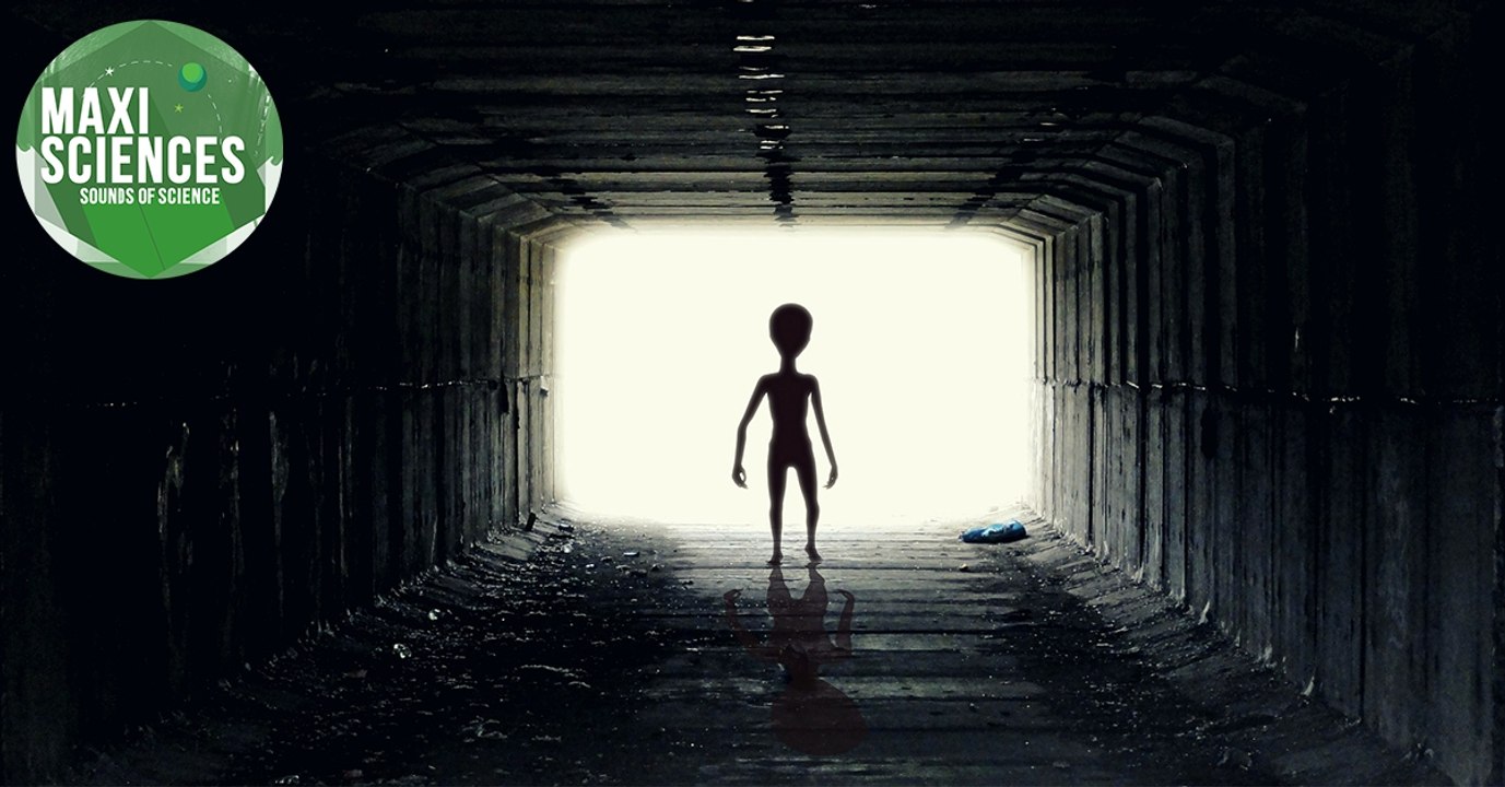 Protections périodiques, extra-terrestre et rennes, les 8 actus sciences que vous devez connaître ce 22 février