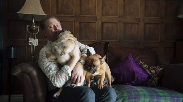 Two dog sisters looking for a joint home