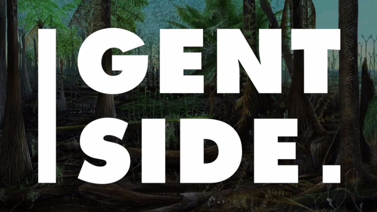 Des scientifiques découvrent la plus ancienne queue fossilisée