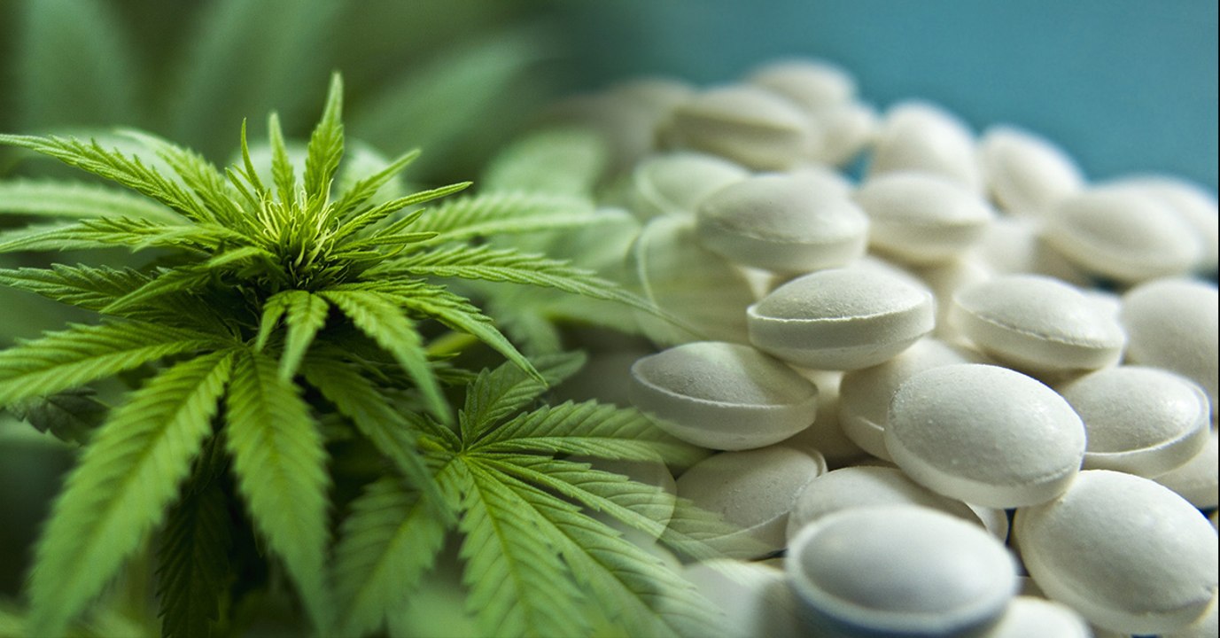 Insomnies et douleurs chroniques : le meilleur remède pourrait être la marijuana