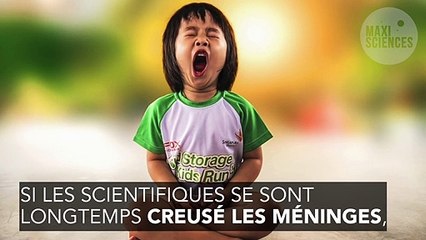 Pourquoi bâille-t-on ? Tout comprendre sur ce réflexe naturel