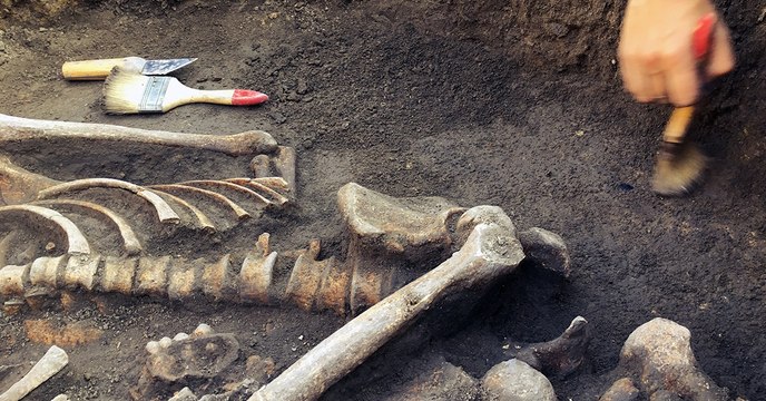 Des archéologues découvrent les fossiles d'une espèce humaine jusqu'ici inconnue