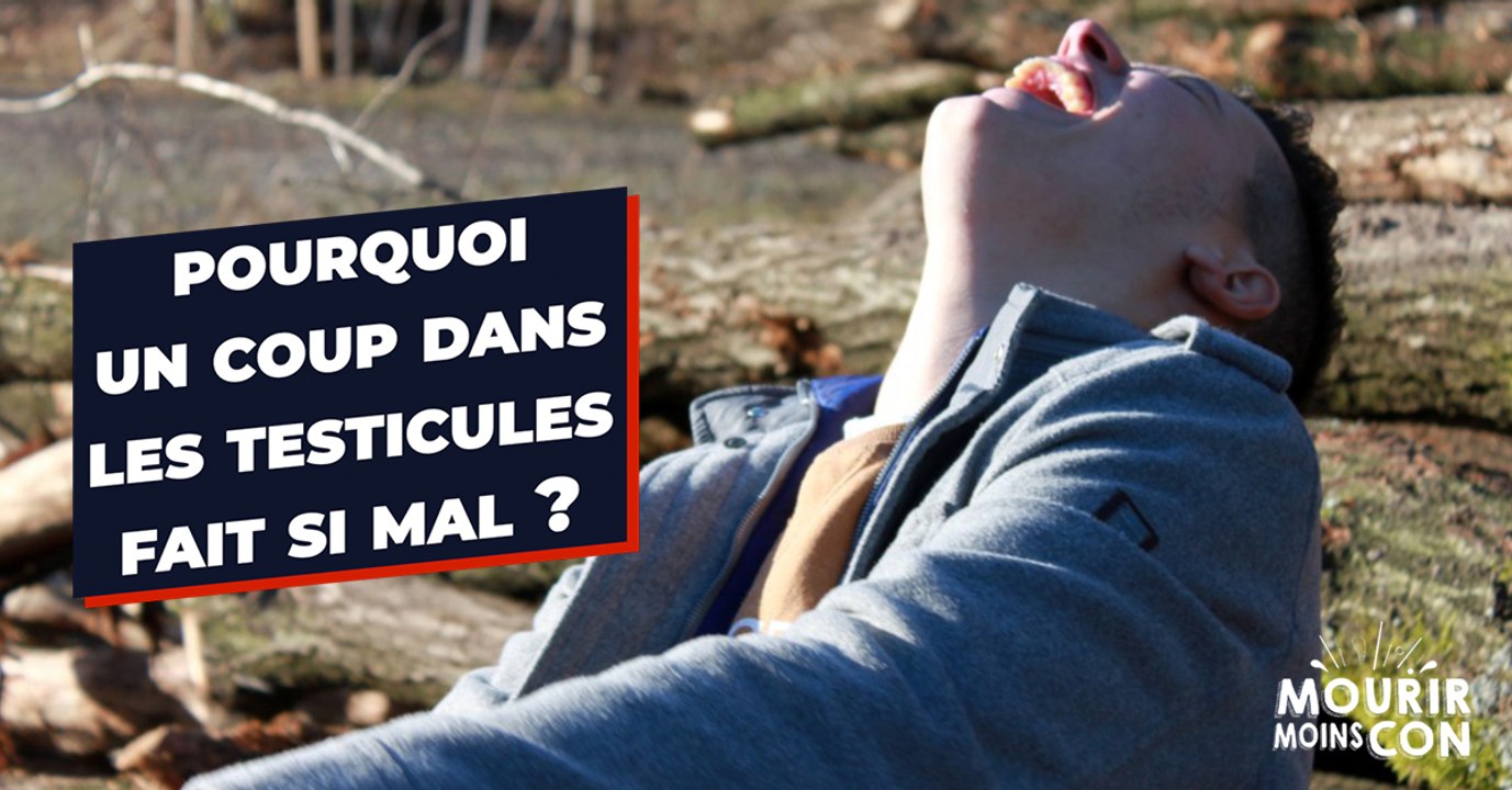 Pourquoi les coups dans les testicules font-ils si mal ?