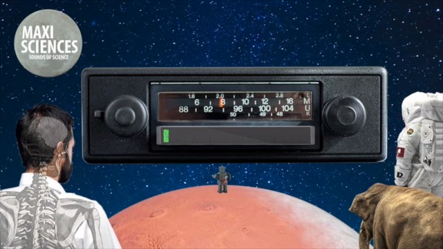 Cookies, travail et fossile, les actus sciences que vous devez connaître ce 7 novembre